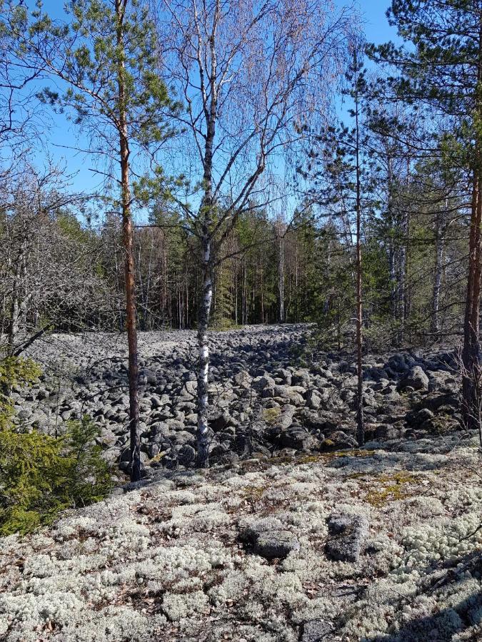 Hotel Lehmirannan Lomakeskus Salo  Exteriér fotografie